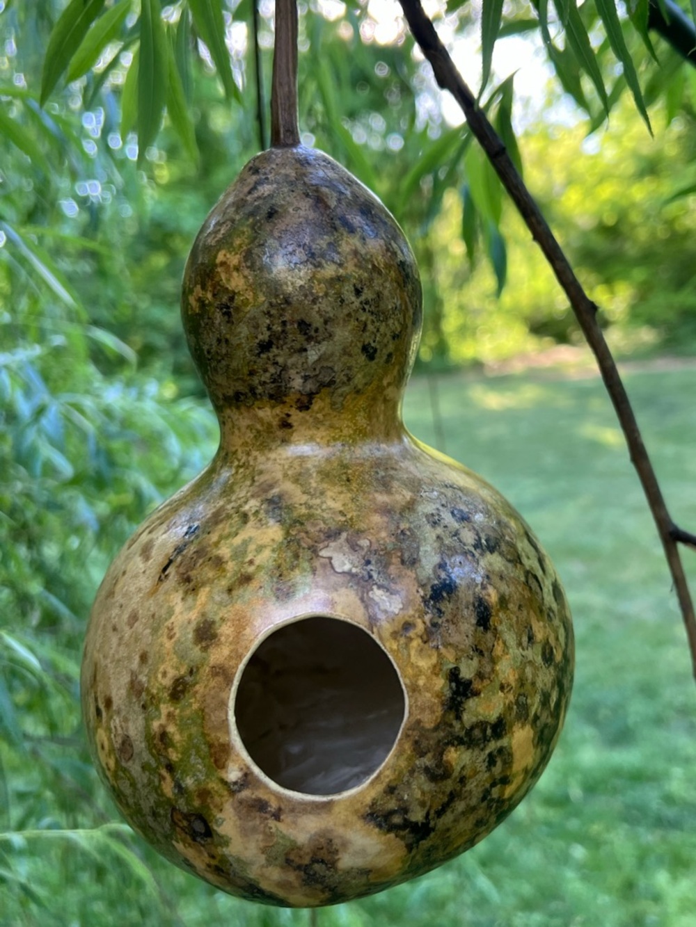 Handcrafted Gourd Birdhouse in Green and Brown - Unbranded